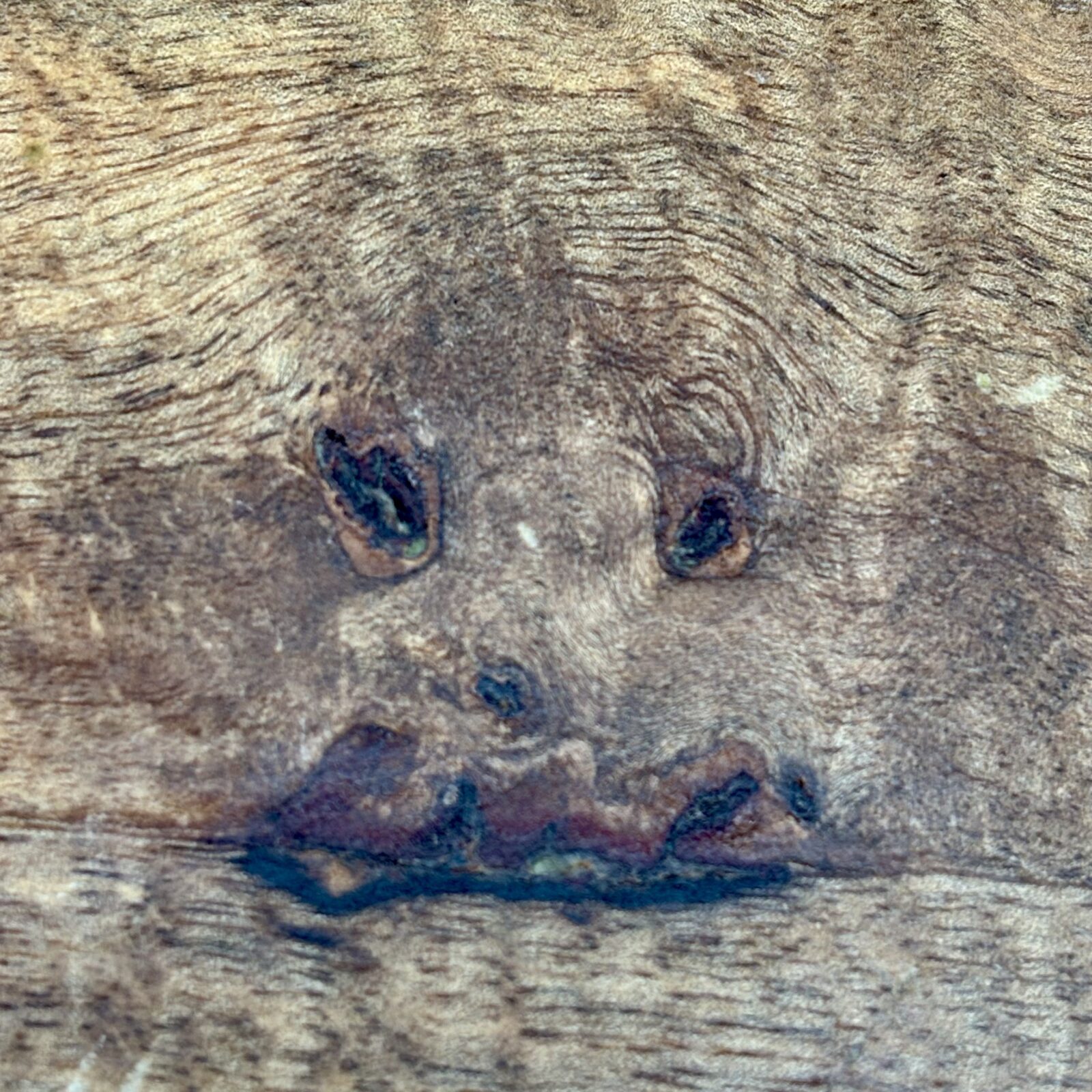 face in a wooden table