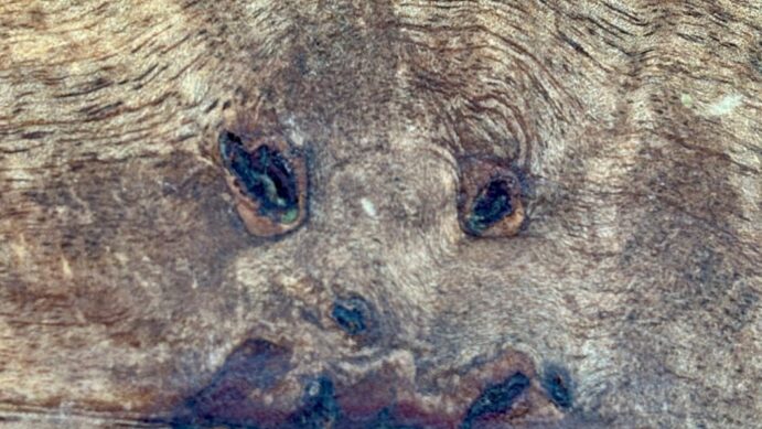 Why Do We See Faces Everywhere?